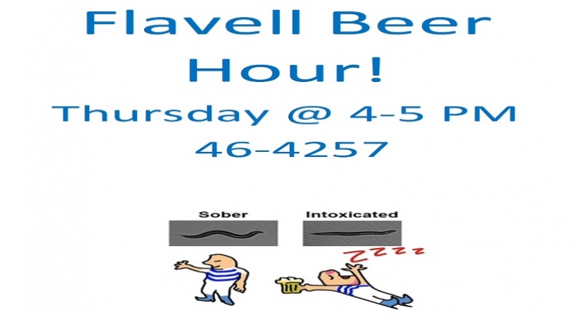 Flavell Lab Hosts Happy Hour!